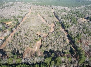 County Road 4919, Timpson, TX 75975