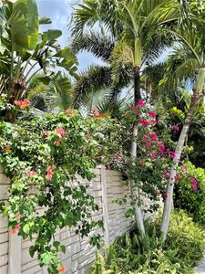 1125 NE 16th Pl APT 203, Fort Lauderdale, FL, 33305