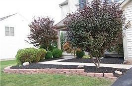 2nd image of 4551 Marilyn Dr