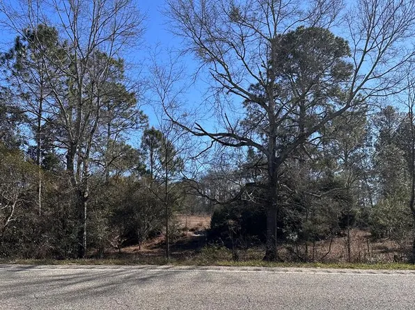 0 State Highway 153, Samson, AL 36477