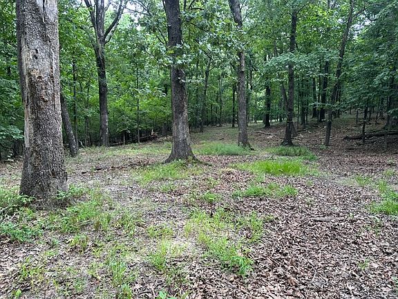 3rd image of 14295 Blue Mountain Rd