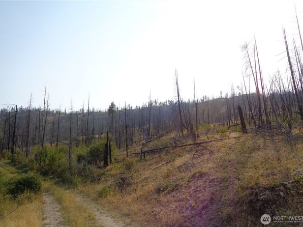 19 Lot Red Feather Road, Riverside, WA 98849