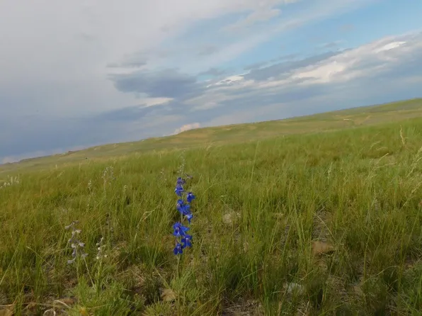 18500 Stuckenhoff St, Casper, WY 82601