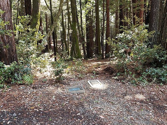 water meter and hydrant