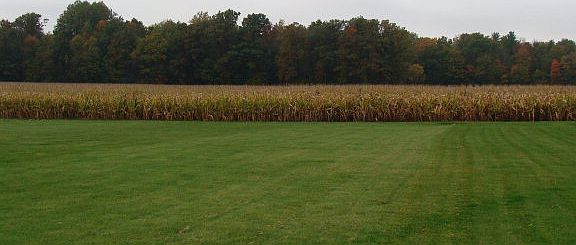 3rd image of 3990 State Route 103 #P