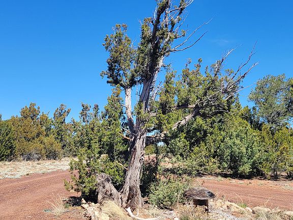 3rd image of 4650 E Juniper Rd