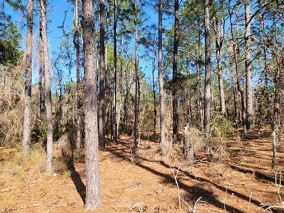 3rd image of 4060 W Alamo Dr Lot Wp001
