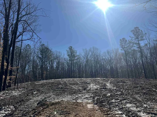 0 Excalibur Trl Lot 267, Cedar Grove, TN 38321
