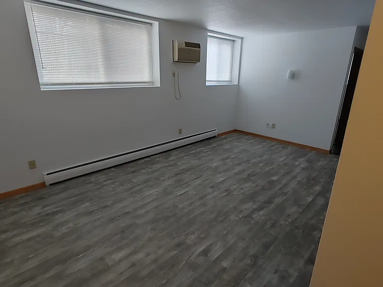 3455 Minnehaha Ave #4 — Photo 4