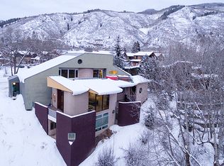 701 Gibson Ave #C, Aspen, CO 81611