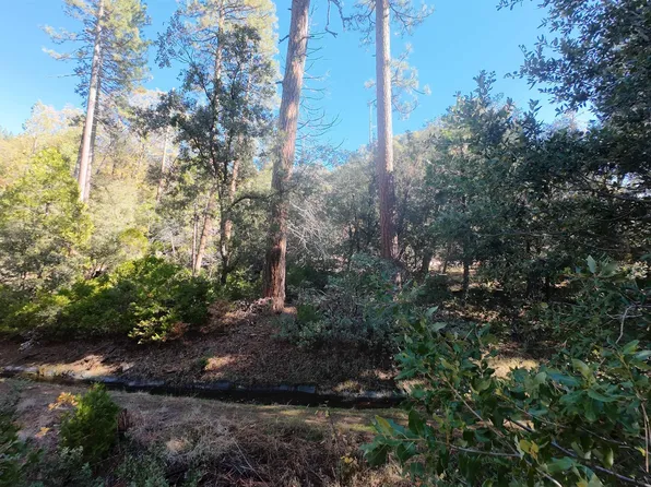 22443 Broken Bough Ln, Twain Harte, CA 95383