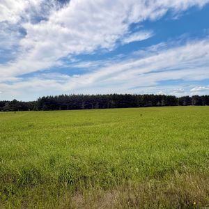 3785 Grant St #9, Sheridan, AR, 72150