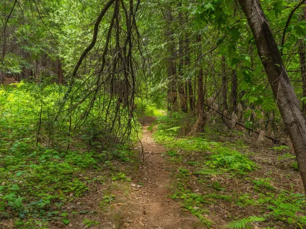 Lake Ct, Pioneer, CA 95666