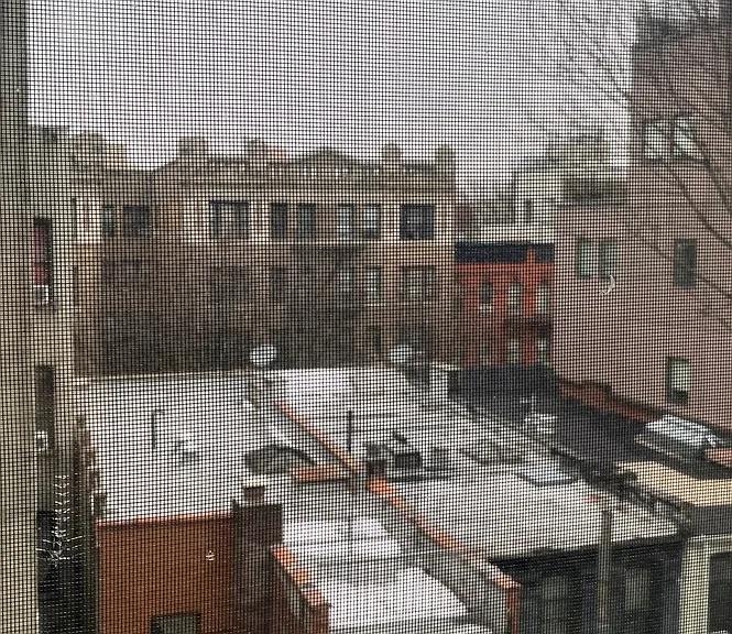 137 W 110th St #7A — Photo 16
