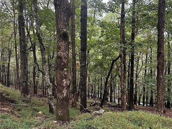 3rd image of 222 Little Hendricks Mountain Rd #Home 222