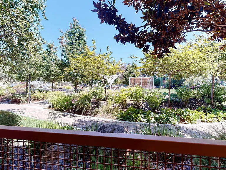 CitySouth — Photo 65
