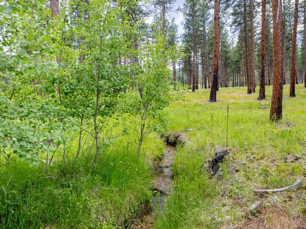 3 Janes Way, Hamilton, MT 59840