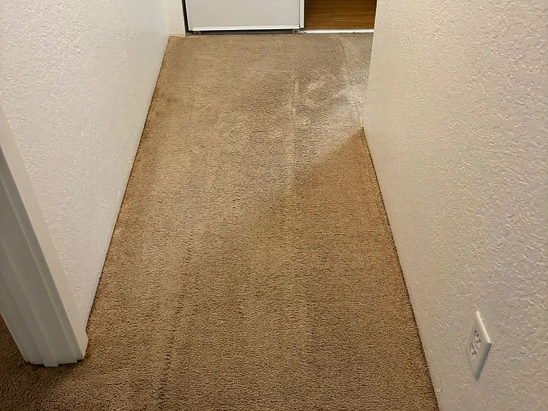226 Mountain View Ave — Photo 14