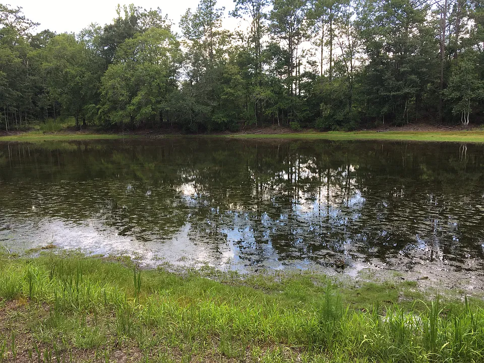 1826 Highway 177A