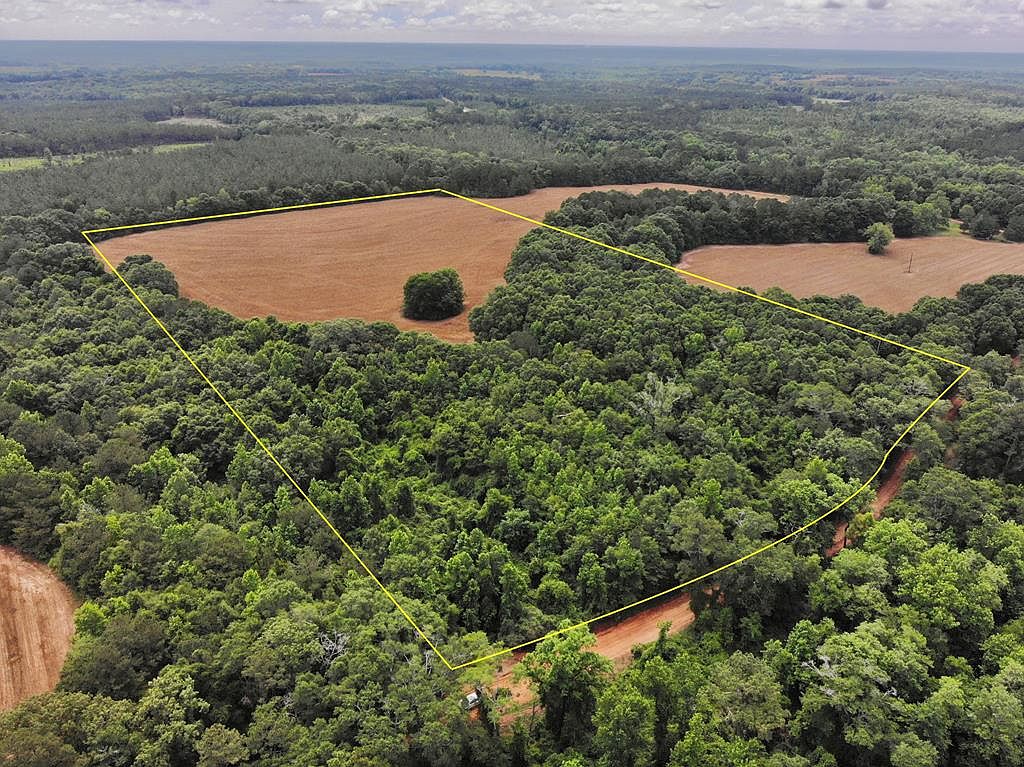 18AC Ollie Pouncey Rd, Chancellor, AL 36316 MLS 190337 Zillow