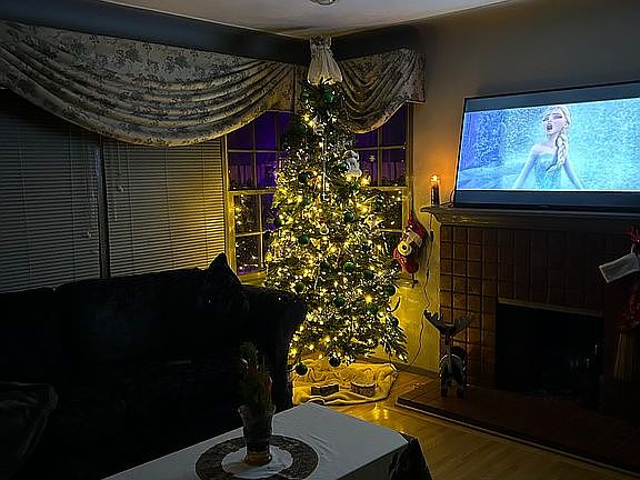 2nd image of 1016 Elm Ave