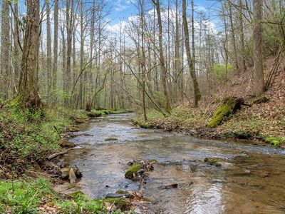 2879 Rodgers Creek Rd, Ellijay, GA, 30540