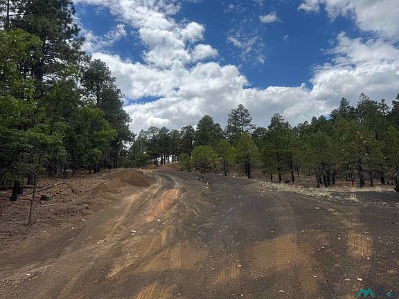 4th image of Oso Ridge Lookout Rd