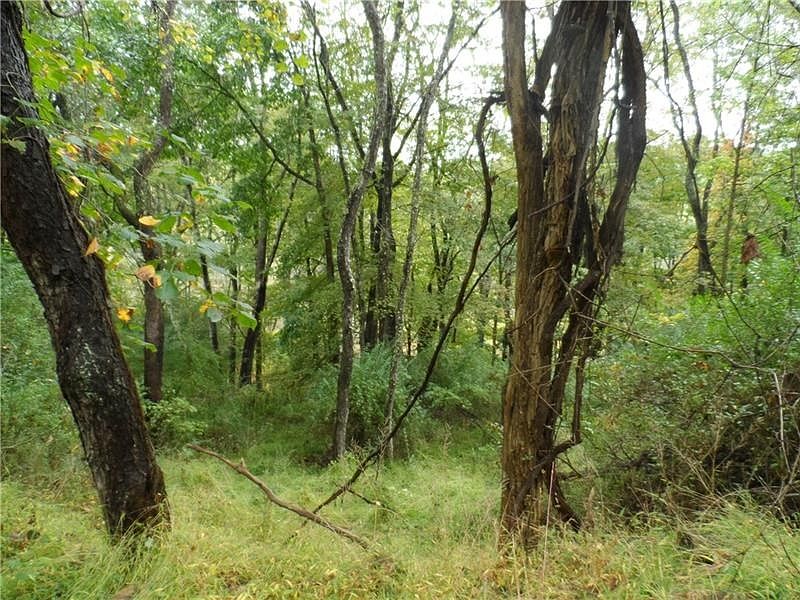 2nd image of Old State Rd