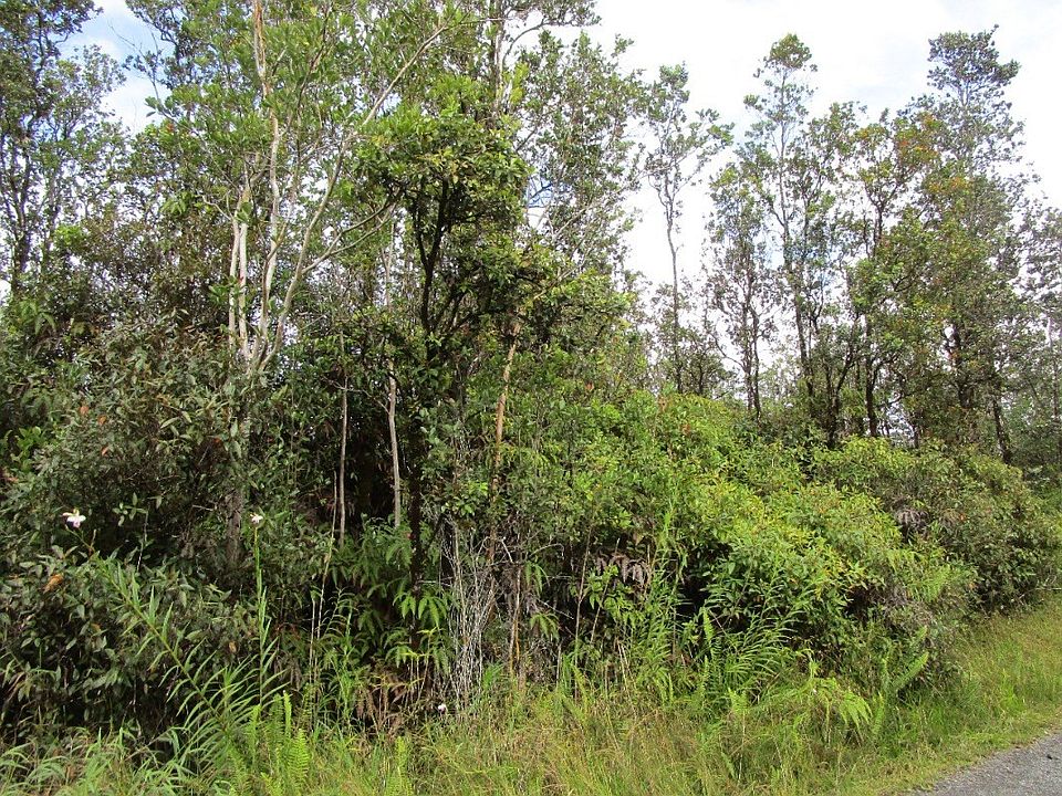 2nd image of Ohialani Rd Lot 66