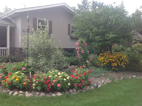 Front yard 