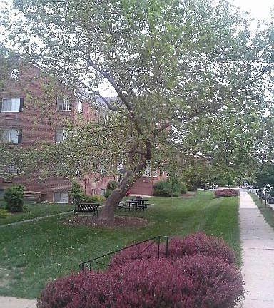 3rd image of 820 S Washington St APT B225