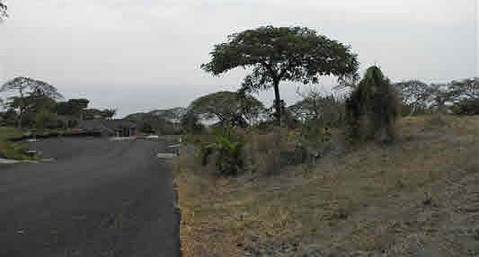 5th image of Kalaniuka St Lot 3