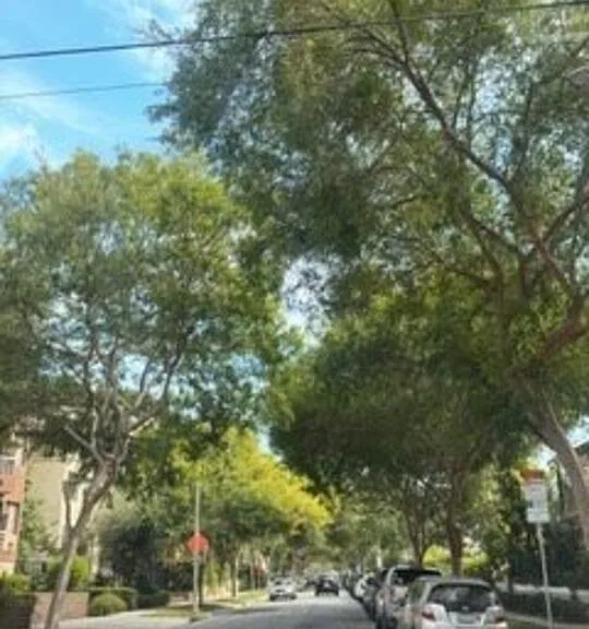 133 S Crescent Dr #3 — Photo 4