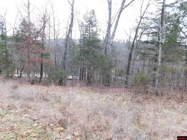 7 Foster Dr, Midway, AR 72651