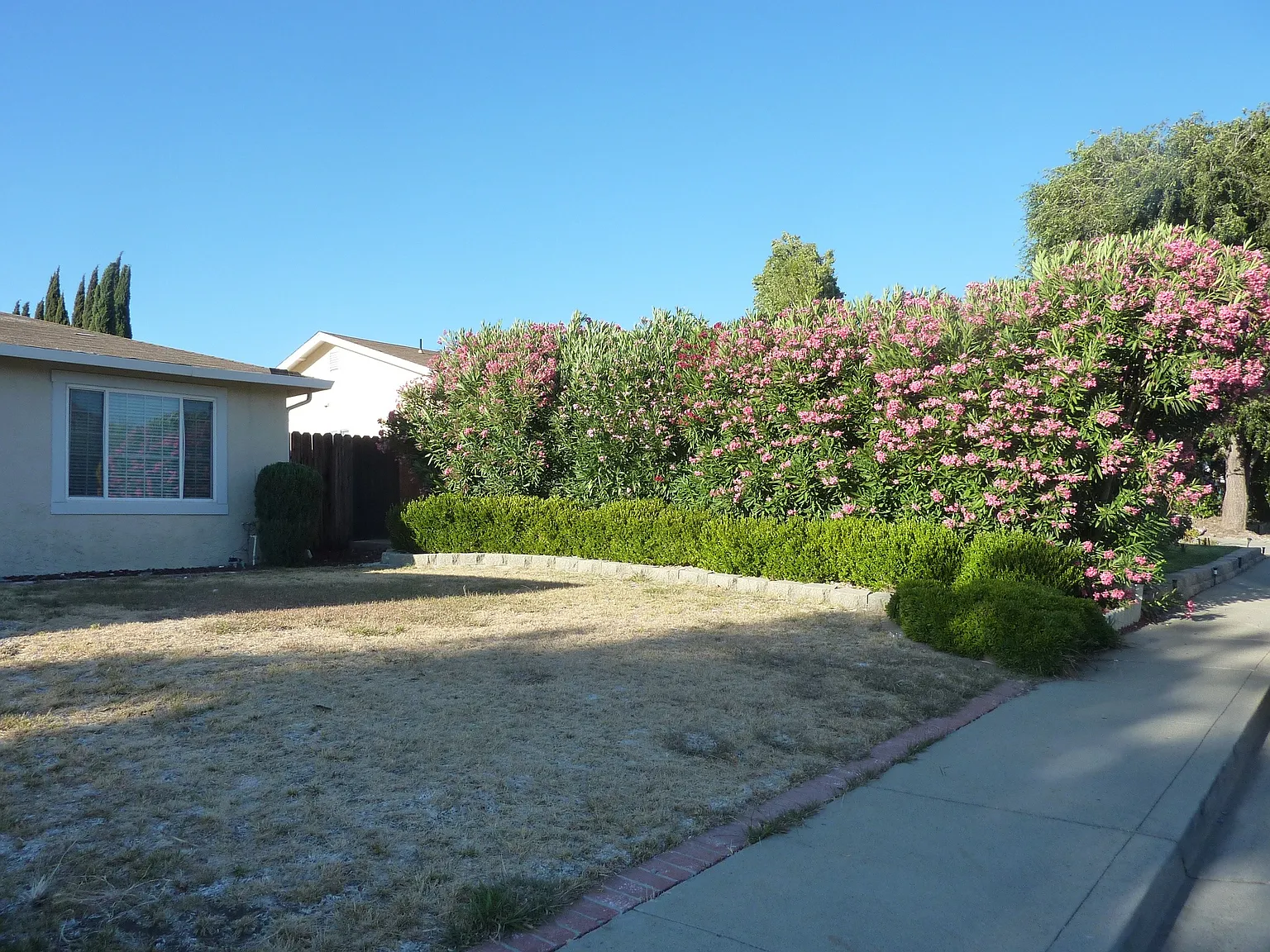 1369 Jensen Dr photo 1
