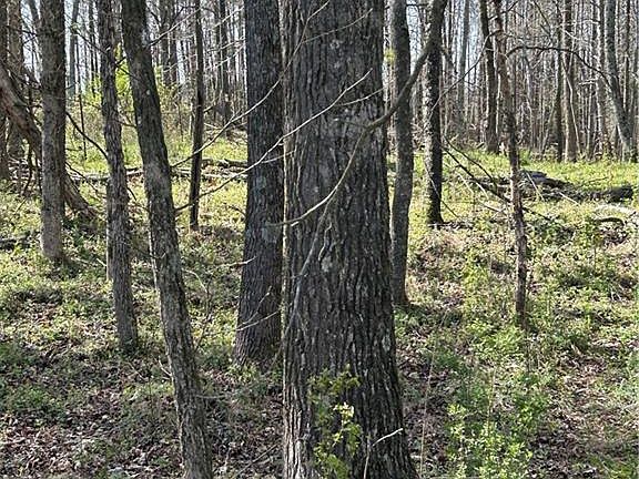 2nd image of 0 Browning Rd