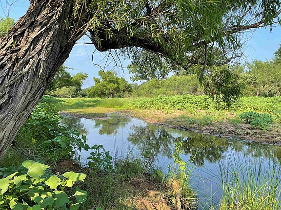 5th image of 601 County Road 312