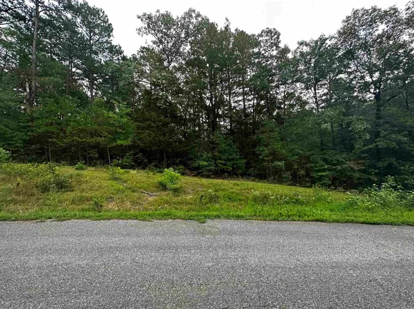 LOT 47 Cobalt Bay Dr Lot 47, Shirley, AR 72153