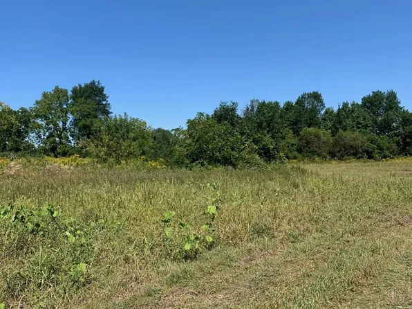 Castle Rd, Otter Lake, MI 48464
