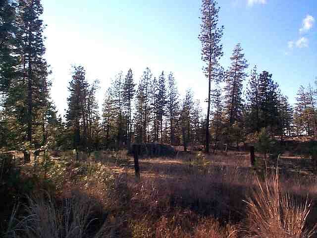 2nd image of 0 S Ritchey Rd