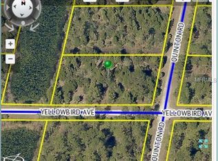 10023 Yellowbird Ave, Weeki Wachee, FL 34614