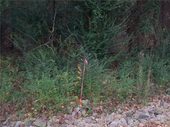 Pierce Rd, Ozark, AR 72949