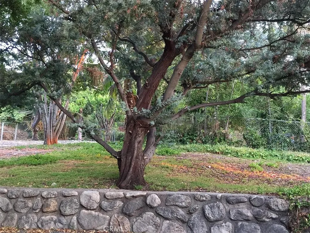 3 bed, 1442 sqft, $5,300 — Photo 3