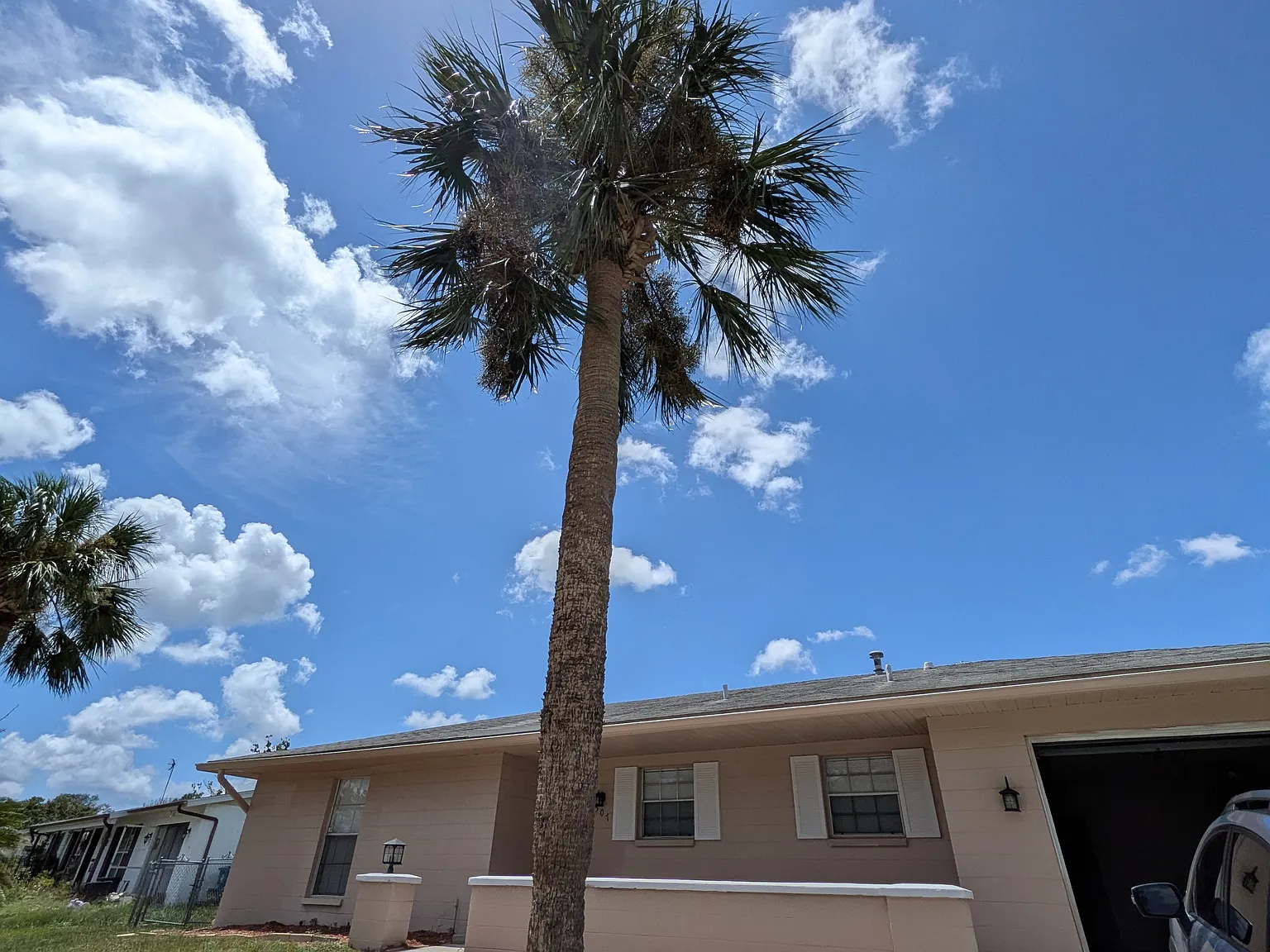 2 bed, 1003 sqft, $1,650 — Photo 1