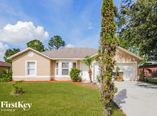 46 Peterlee Ct, Kissimmee, FL 34758