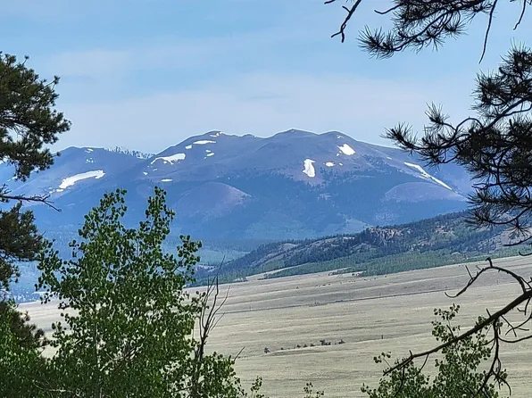 964 Redhill Rd, Fairplay, CO 80440