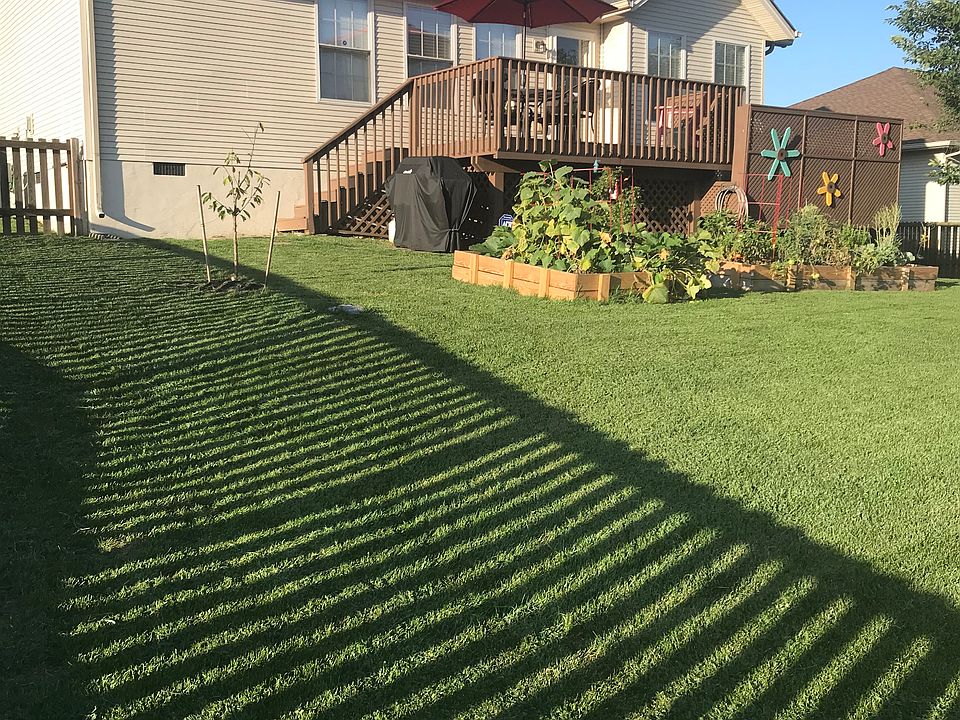 Spacious back yard w/ garden