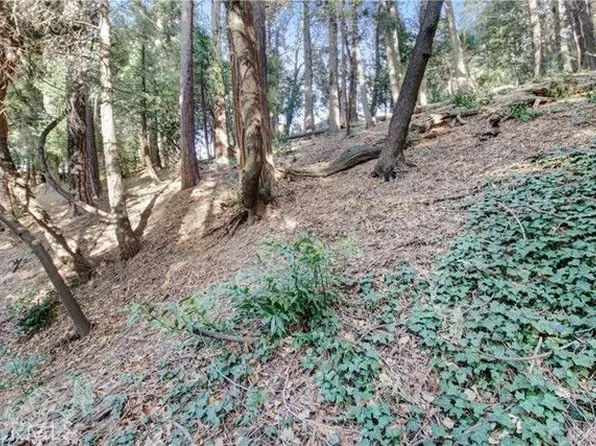 2661 Scenic Dr Lot 2661, Crestline, CA 92325