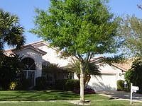3rd image of 7343 Sterling Falls Ln