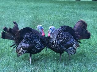 42 Ridge Ave, Decatur, IL 62521